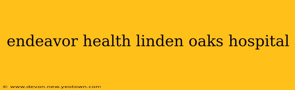 endeavor health linden oaks hospital