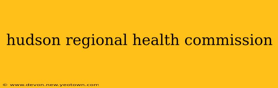 hudson regional health commission