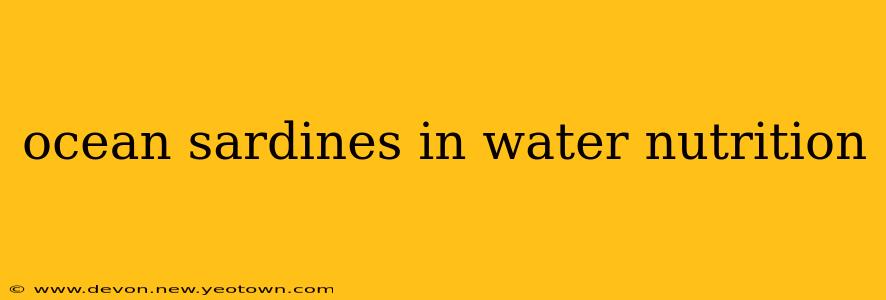 ocean sardines in water nutrition
