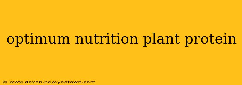 optimum nutrition plant protein