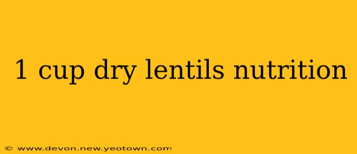 1 cup dry lentils nutrition