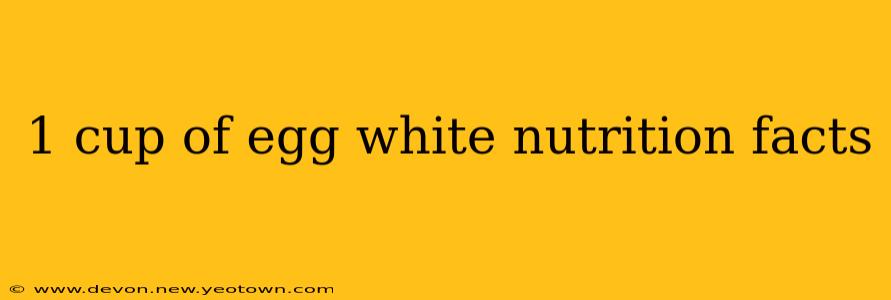 1 cup of egg white nutrition facts