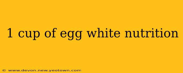 1 cup of egg white nutrition