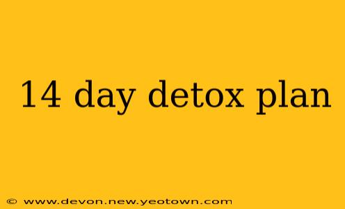 14 day detox plan