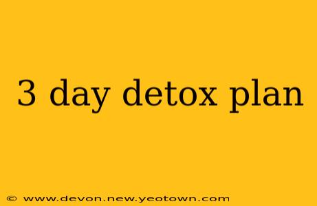 3 day detox plan