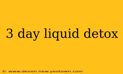 3 day liquid detox