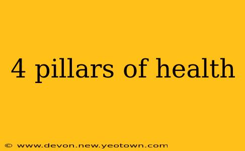 4 pillars of health