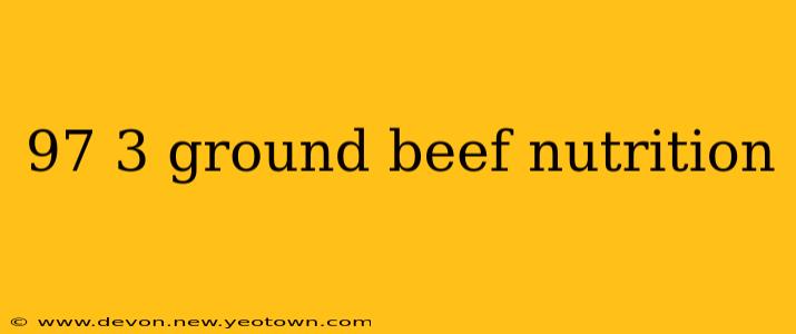 97 3 ground beef nutrition