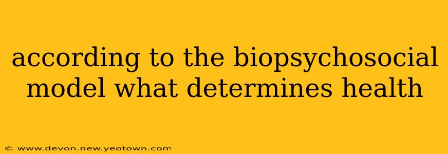 according to the biopsychosocial model what determines health