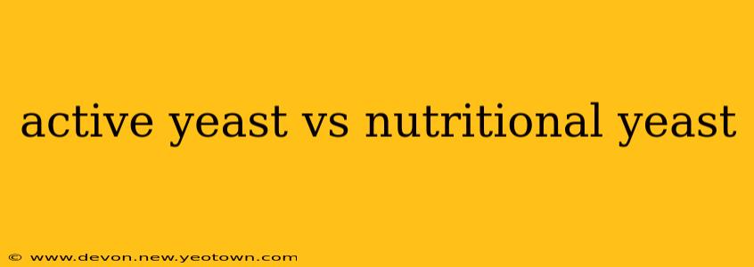 active yeast vs nutritional yeast