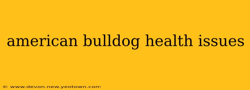 american bulldog health issues