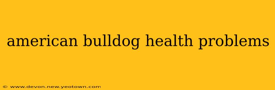 american bulldog health problems