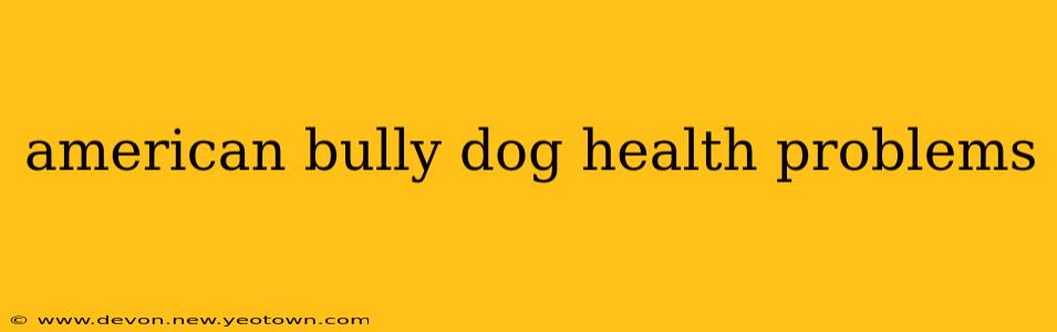 american bully dog health problems
