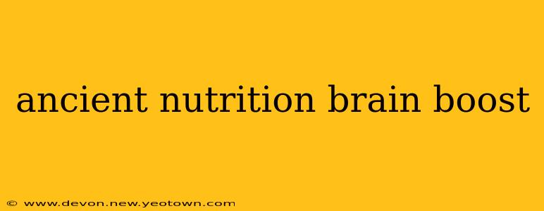 ancient nutrition brain boost