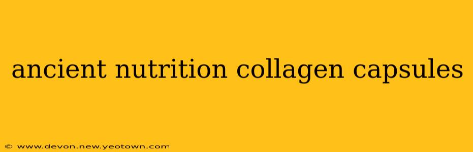 ancient nutrition collagen capsules
