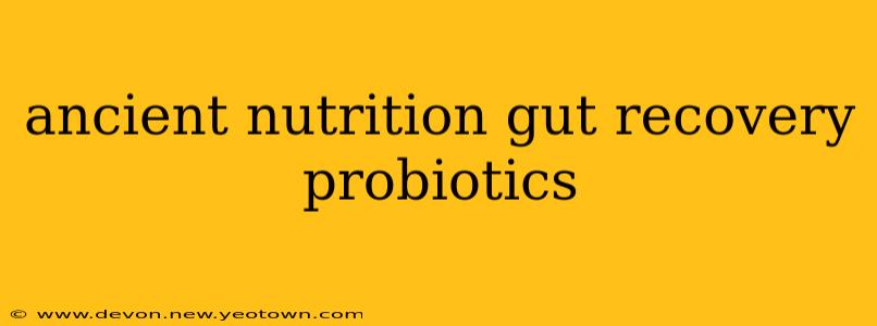 ancient nutrition gut recovery probiotics