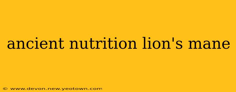 ancient nutrition lion's mane