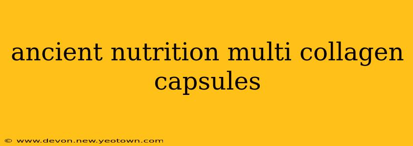 ancient nutrition multi collagen capsules