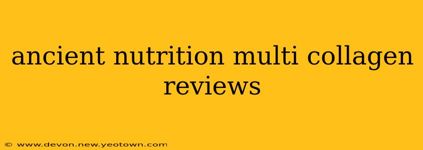 ancient nutrition multi collagen reviews