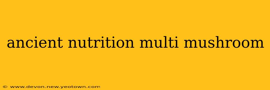 ancient nutrition multi mushroom