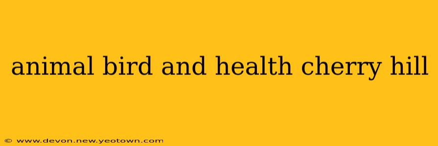 animal bird and health cherry hill