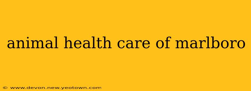 animal health care of marlboro