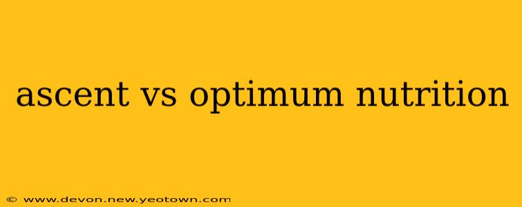ascent vs optimum nutrition