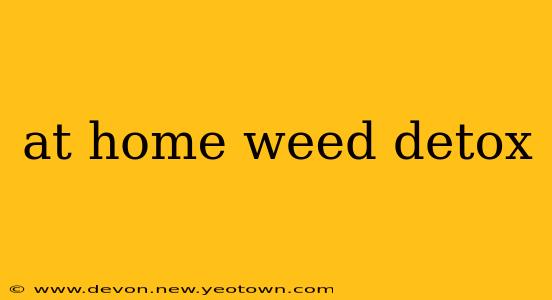 at home weed detox