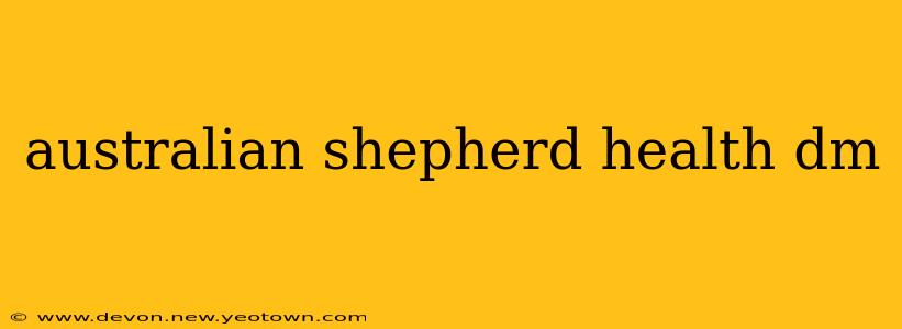 australian shepherd health dm
