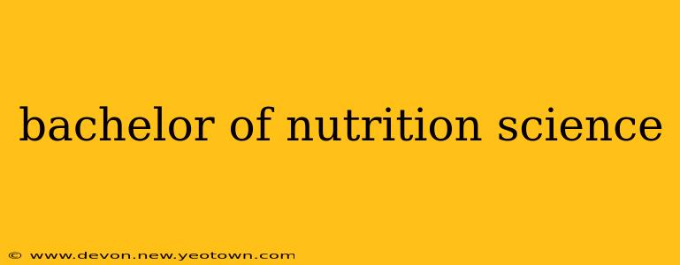 bachelor of nutrition science