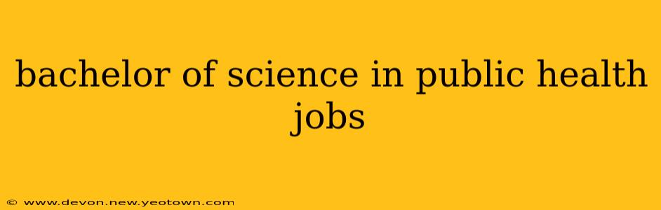 bachelor of science in public health jobs