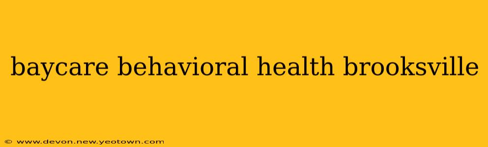 baycare behavioral health brooksville