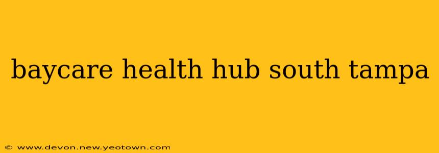 baycare health hub south tampa