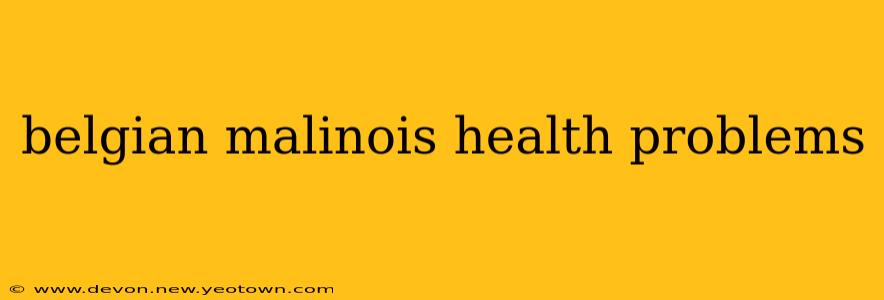 belgian malinois health problems