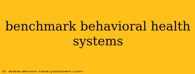 benchmark behavioral health systems
