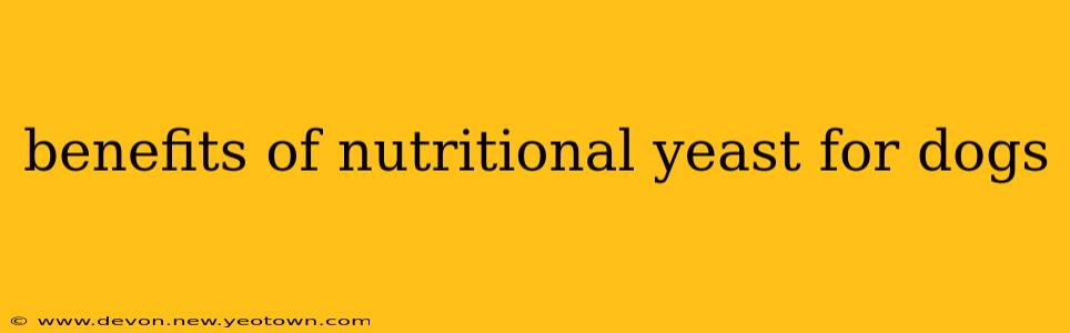benefits of nutritional yeast for dogs
