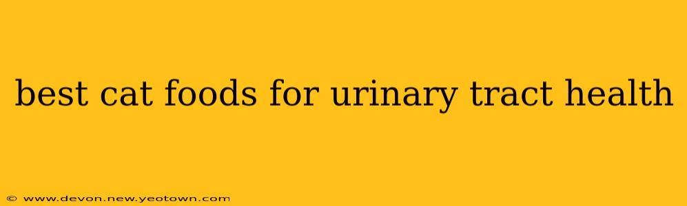 best cat foods for urinary tract health