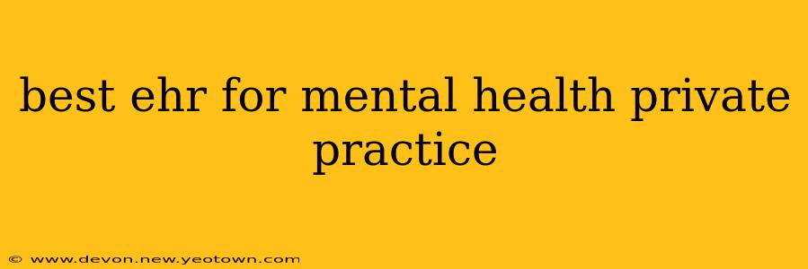 best ehr for mental health private practice