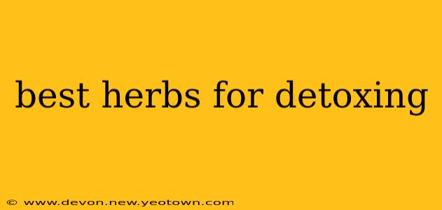 best herbs for detoxing