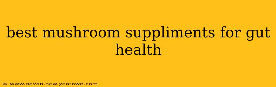 best mushroom suppliments for gut health