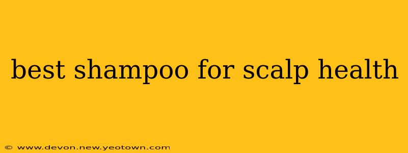 best shampoo for scalp health