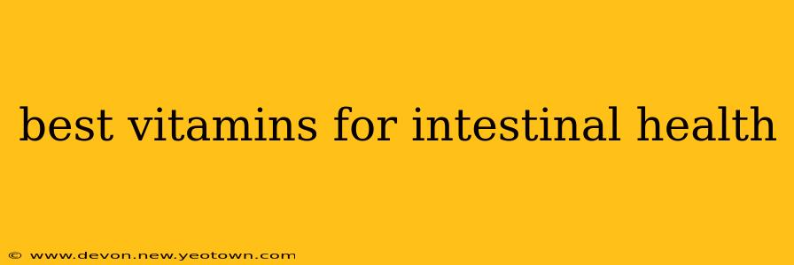 best vitamins for intestinal health
