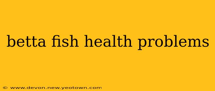 betta fish health problems