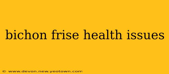 bichon frise health issues
