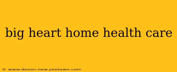 big heart home health care