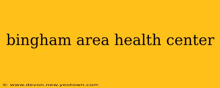 bingham area health center