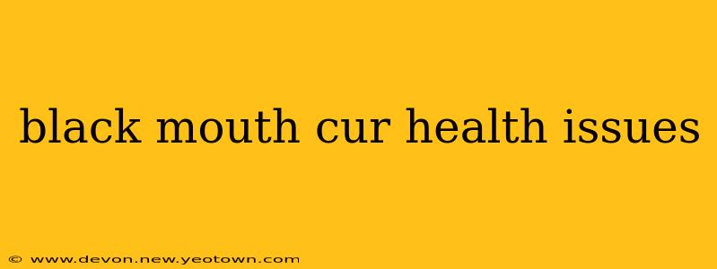 black mouth cur health issues