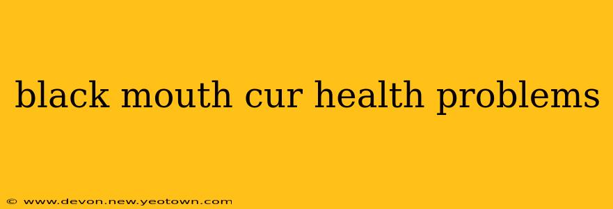 black mouth cur health problems