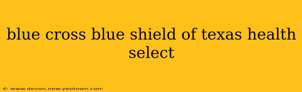 blue cross blue shield of texas health select