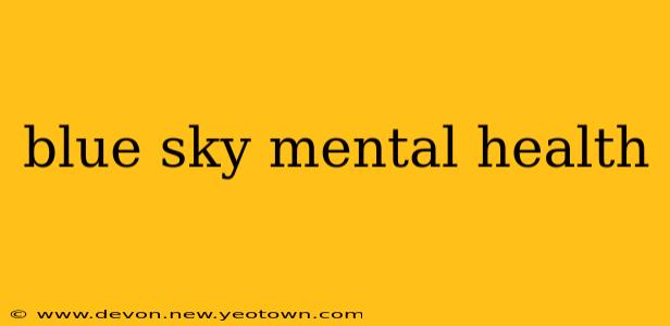blue sky mental health